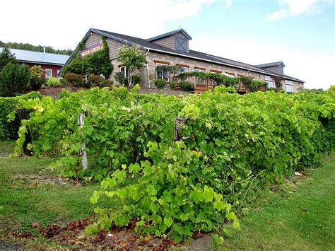 Bully Hill Vineyards, Keuka Lake, New York (NY) | Keuka lake, Finger lakes ny, Lake trip