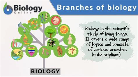 Branches of Biology - Biology Online Dictionary