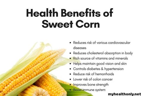 10 Tremendous Benefits of Sweet corn, You must to know - My Health Only