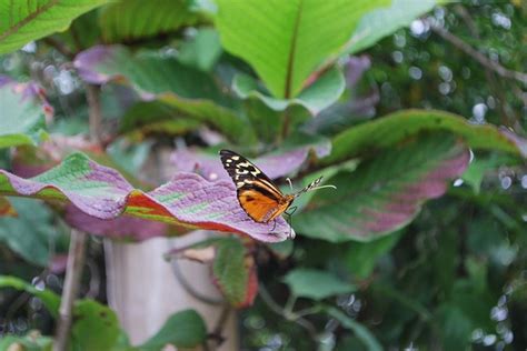 Malahide Castle and Gardens - A perfect day out of Dublin