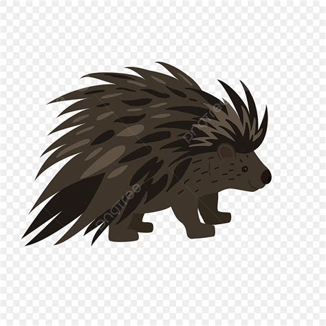 Prediseñadas De Puercoespín PNG , Porcupine Clipart, Imágenes Prediseñadas Porcupine ...