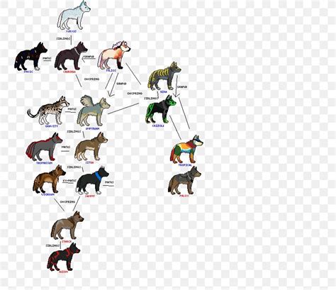 Canidae Gray Wolf Family Tree Coyote Pack, PNG, 768x709px, Canidae, Alpha, Ancestor, Animal ...