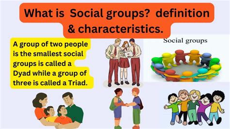 What is Social groups, definition, and characteristics. » All For You