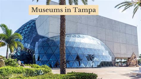 Explore the Top 13 Museums in Tampa: Art Enthusiast’s Guide