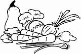 Vegetable Coloring Pages Printable At GetDrawings  Free Download sketch template