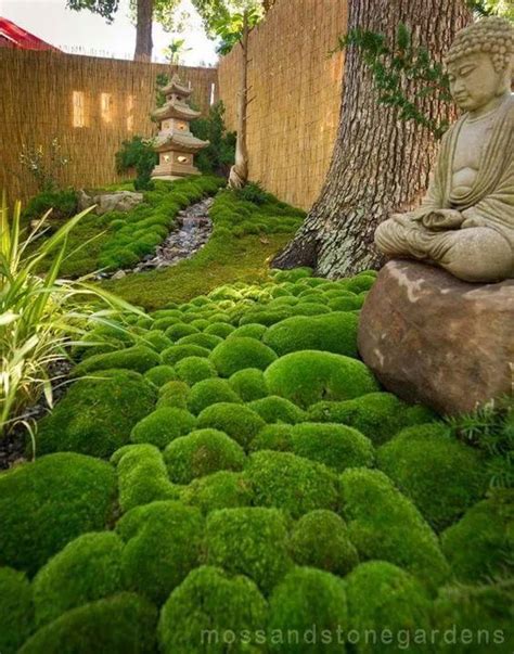 How to Grow Your Own Moss in 2020 | Small japanese garden, Japanese ...