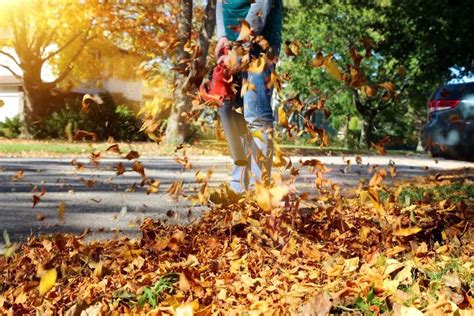 2-Cycle Vs. 4-Cycle Leaf Blower: What Are The Major Differences? | Upgradedhome.com