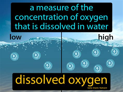 Dissolved Oxygen Definition & Image | Flippy Flashcards