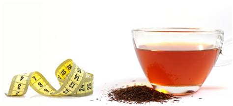 6 Great Rooibos Tea (Red Bush Tea) Benefits | Tea-and-Coffee.com