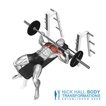 Chest Exercises - Personal Trainer in Port Melbourne - Nick Hall Body TransformationsPersonal ...