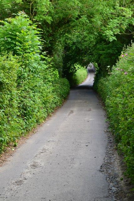 Narrow section of Wyke Lane © David Martin cc-by-sa/2.0 :: Geograph Britain and Ireland