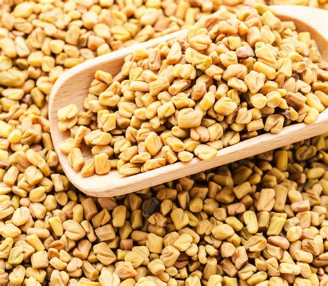 Fenugreek Seeds – Amiras Agro and Foods