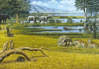 History of Earth - Pliocene Epoch - (Cenozoic Era)