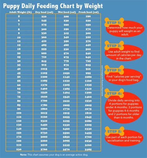 Puppy Feeding Schedule: Look at the chart, follow the tips! | Puppy feeding schedule, Dog ...