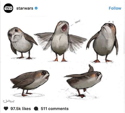 Meet Porgs, the Cute New 'Star Wars' Creatures in 'The Last Jedi'