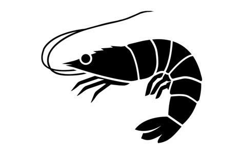 black and white shrimp clipart 10 free Cliparts | Download images on Clipground 2024