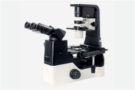 Universal inverted fluorescence microscope - Light Microscopes, Electron Microscopes, Optical Glass