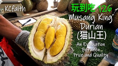 Malaysia Musang King Durian. Evaluation between Price and Quality - YouTube