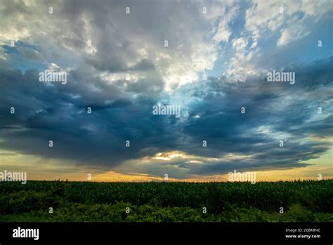 Dramatic Sky over a Corn Field Stock Photo - Alamy