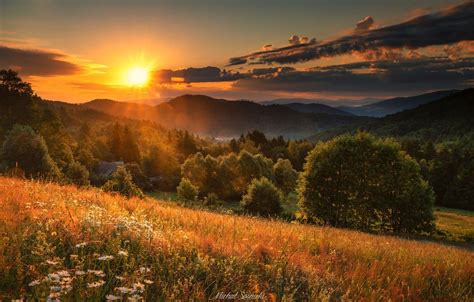 Sunset Meadow Wallpapers - Wallpaper Cave