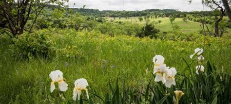 Campground Details - Cedar Hill State Park, TX - Texas State Parks