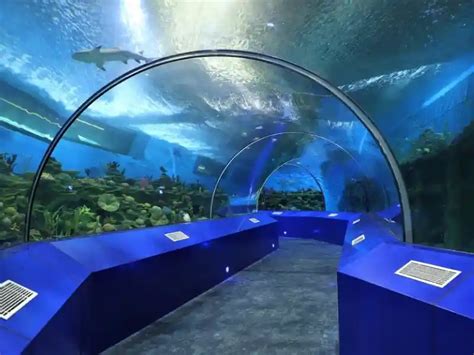 Aquatic Gallery - Science City, Ahmedabad