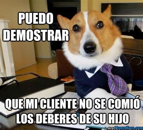 Memes de animales en español - Imagui