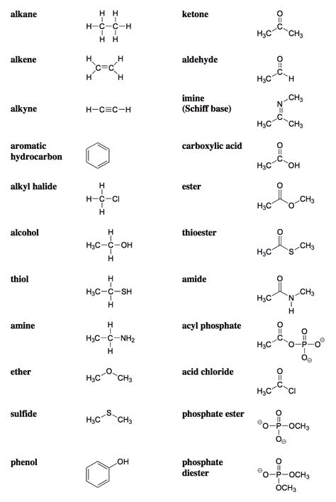 Functional Groups Diagram