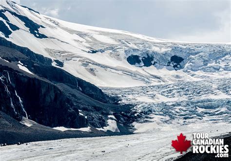 Jasper Columbia Icefields Athabasca Glacier Tours