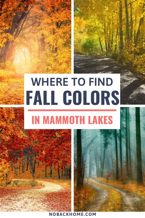 Seeking Out the Beauty of Mammoth Lakes Fall Colors - No Back Home