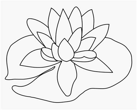 Lily Pad Flower Png Black And White - Lily Pad Drawing Easy ...