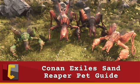 Conan Exiles Sand Reaper Pet Guide: Get Yourself a Poison Queen - Conan Fanatics