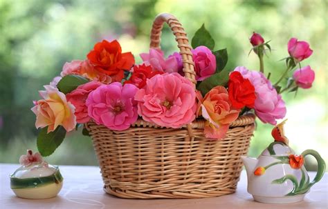 roses, flowers, basket Wallpaper, HD Flowers 4K Wallpapers, Images and Background - Wallpapers Den