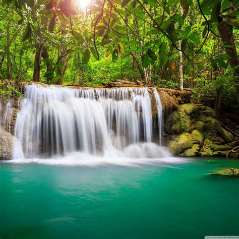 rainforest waterfall iPad Air Wallpapers Free Download