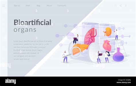 Lab-Grown Organs landing page concept Stock Vector Image & Art - Alamy