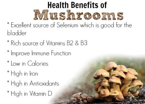 Health Benefits of Mushrooms