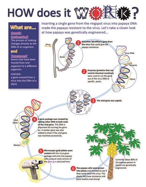 History of Agricultural Biotechnology: How Crop Development has Evolved | Learning science ...