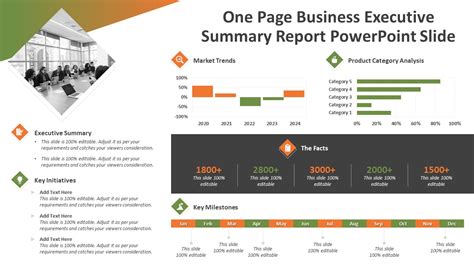 One Page Business Executive Summary Report PowerPoint Slide