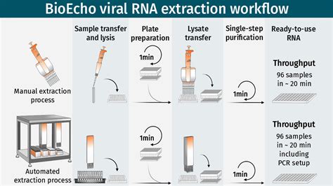 Increase viral RNA extraction throughput with automation - European Biotechnology