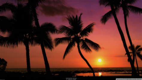 Tropical Beach Sunset Wallpaper Desktop - WallpaperSafari