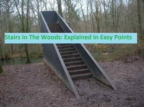 5 Best Stairs In The Woods: Explained In Easy Points