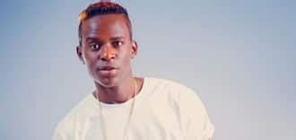 Willy paul biography,age,net worth,wife – ajay sams