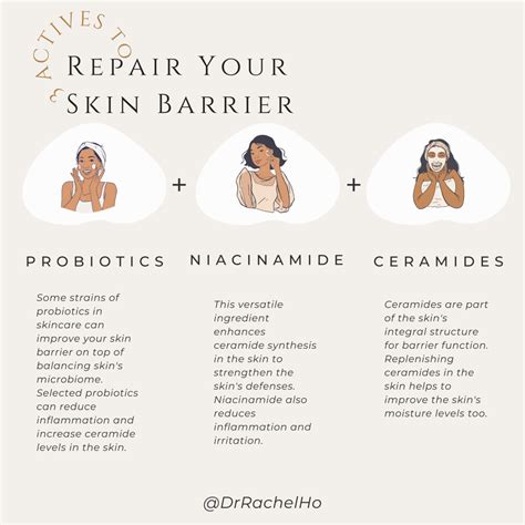 Dr Rachel Ho | barrier skincare ingredients