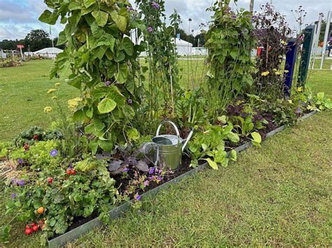 The Northern Star Show Garden: Community Spirit at RHS Tatton - Garden ...