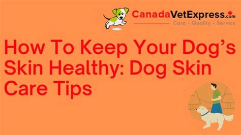 How To Keep Your Dog’s Skin Healthy: Dog Skin Care Tips by CanadaVetExpress - Issuu