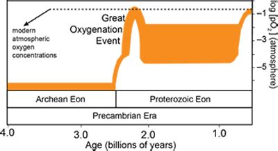 The Great Oxygenation Event The Earths First Mass