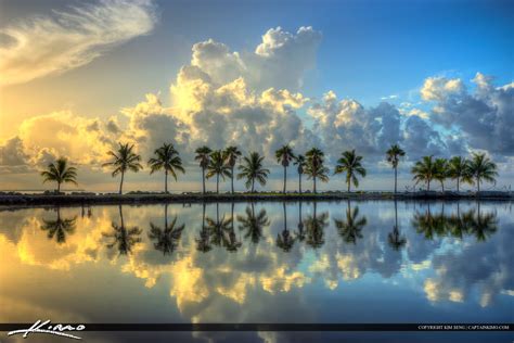 Matheson Hammock Park Coconut Tree Row Sunrise Reflection | Flickr