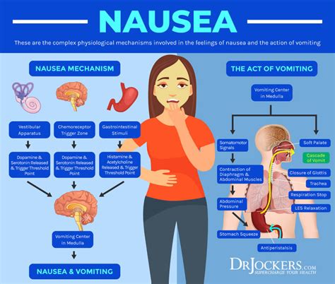 Nausea: Common Causes and Natural Healing Strategies - DrJockers.com