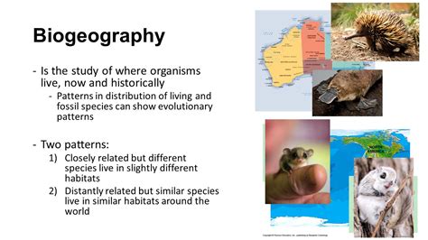 Biogeography Evolution