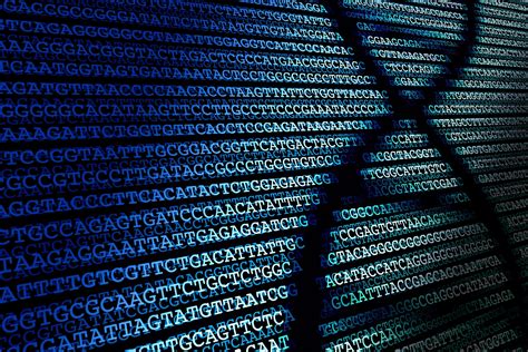 Explainer: what is the Human Genome Project? – Queensland Genomics